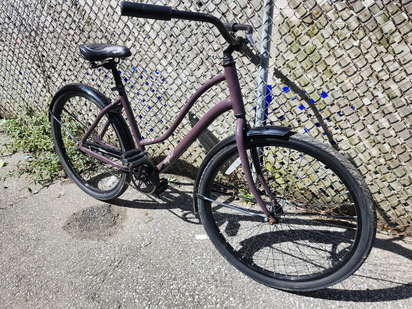 Capix Valencia Cruiser Bicycle - photo 5
