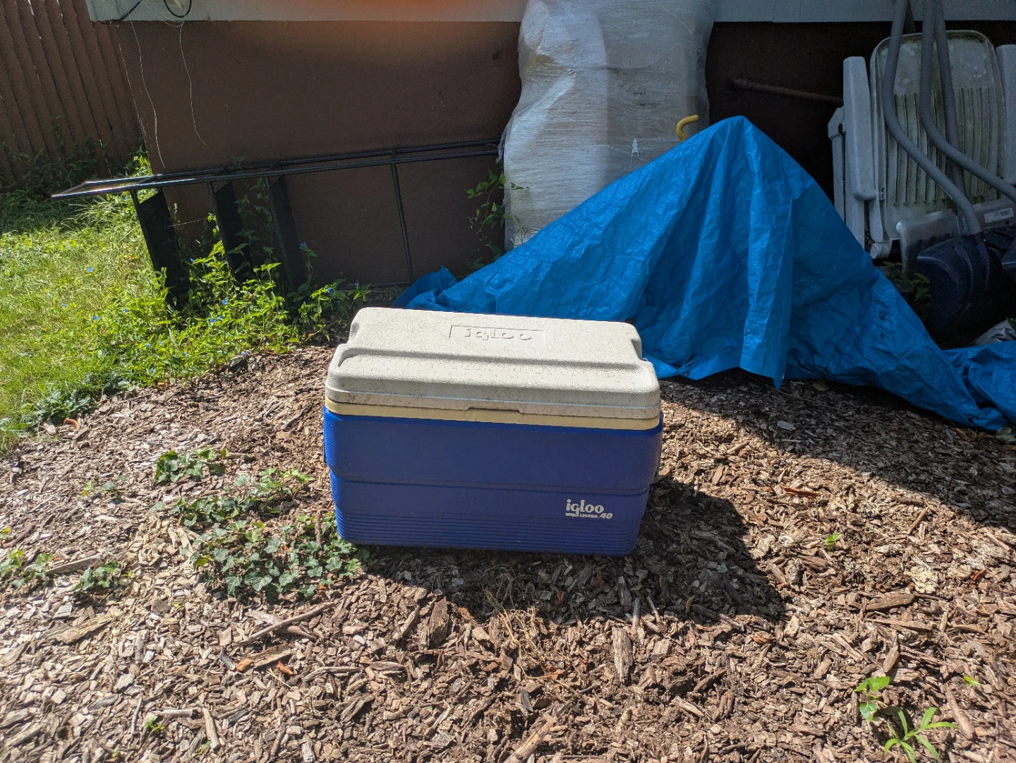 Igloo Legend 40 Cooler