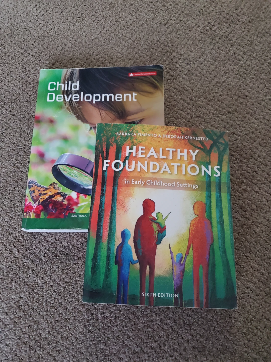 Child Development and Healthy Foundations Textbooks