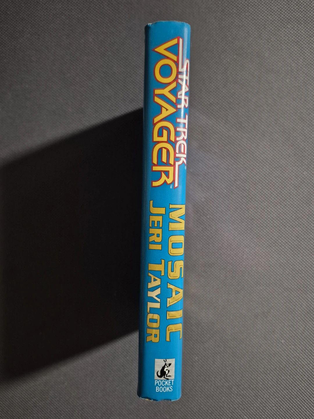 Jeri Taylor - Star Trek Voyager: Mosaic (1st Edition - HC) - photo 3