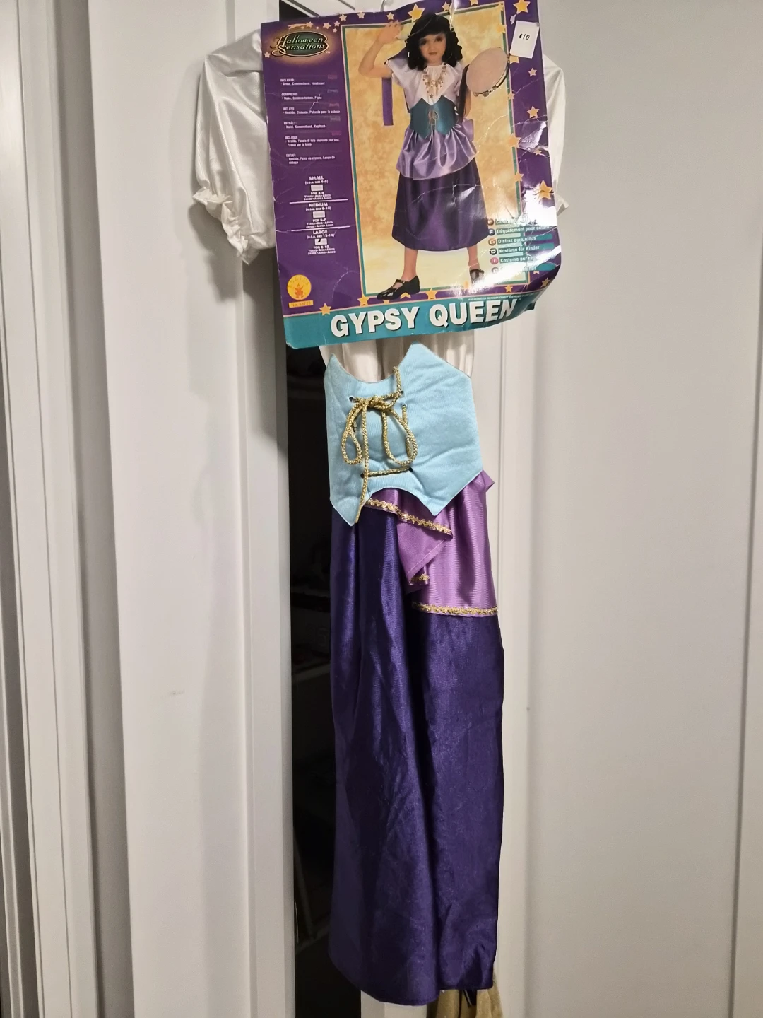 Halloween Sensations Gypsy Queen Costume