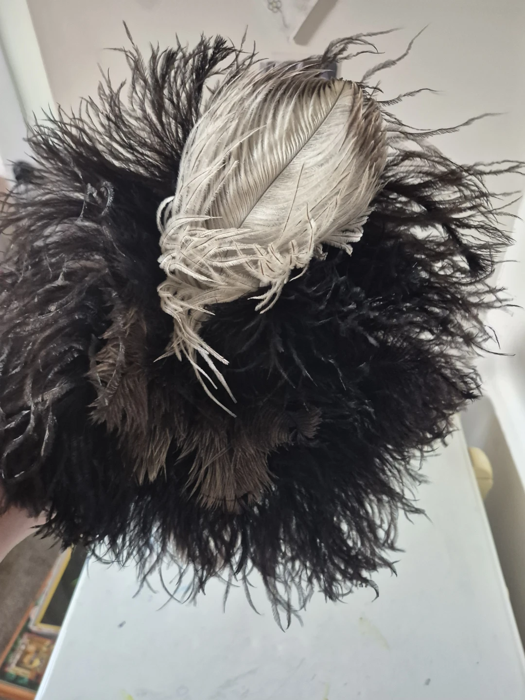 Decorative Ostrich Feather Piece