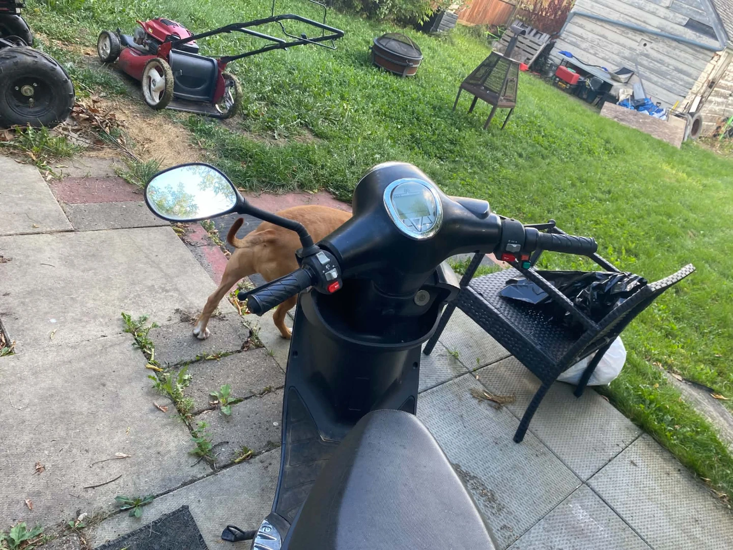 Gio Electric Scooter - photo 3