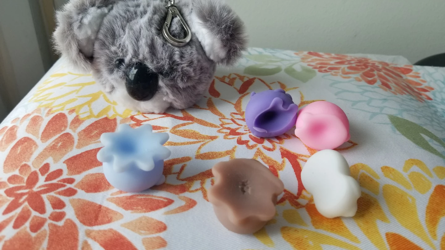 Bath and Body works Koala Plush Keychain + 5 Animal Squishies - photo 3
