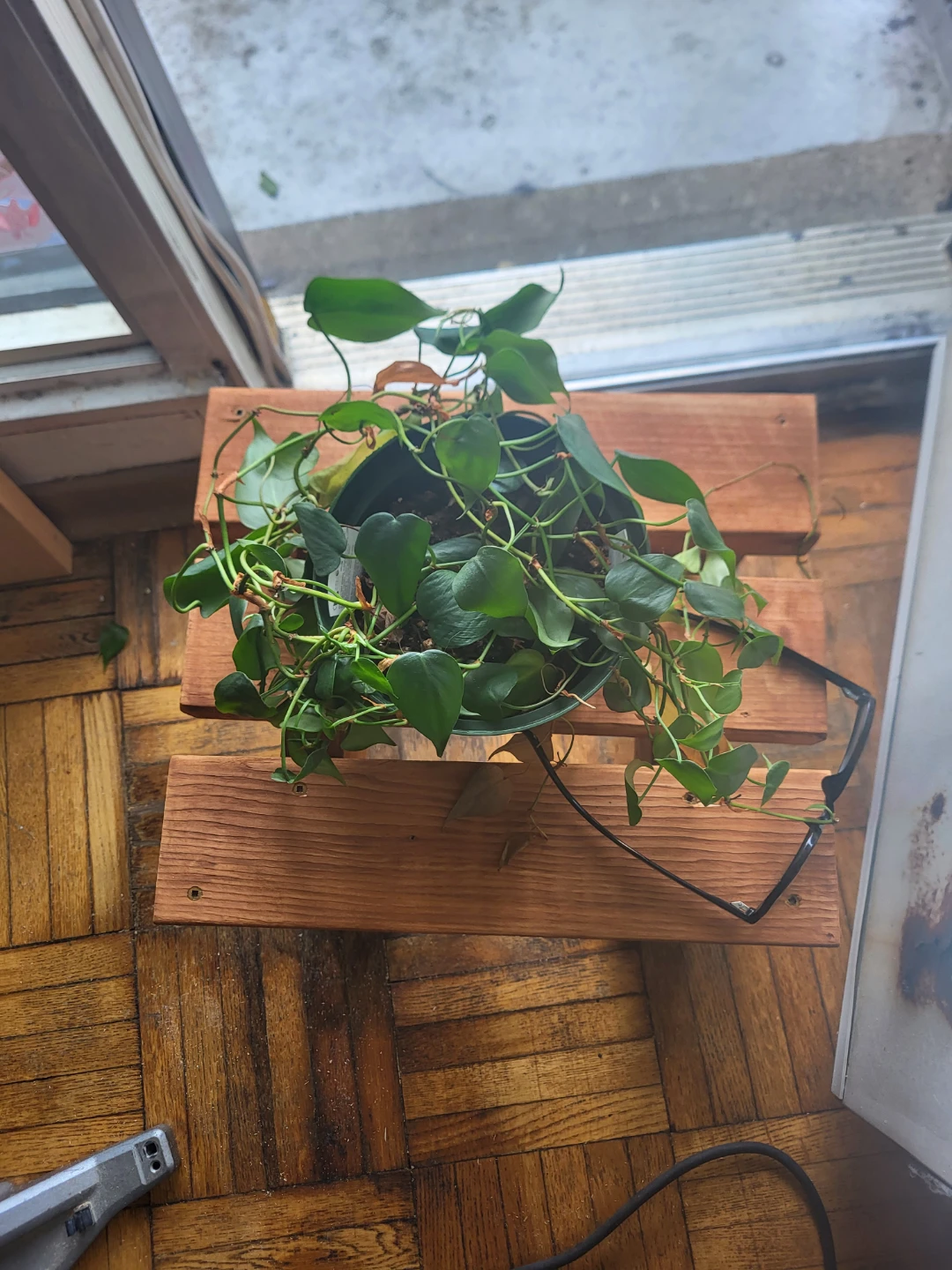 Wooden Plant Stand