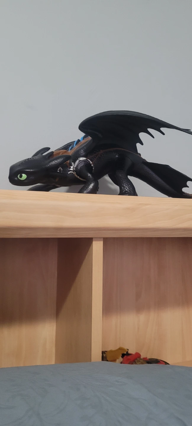 dragon
