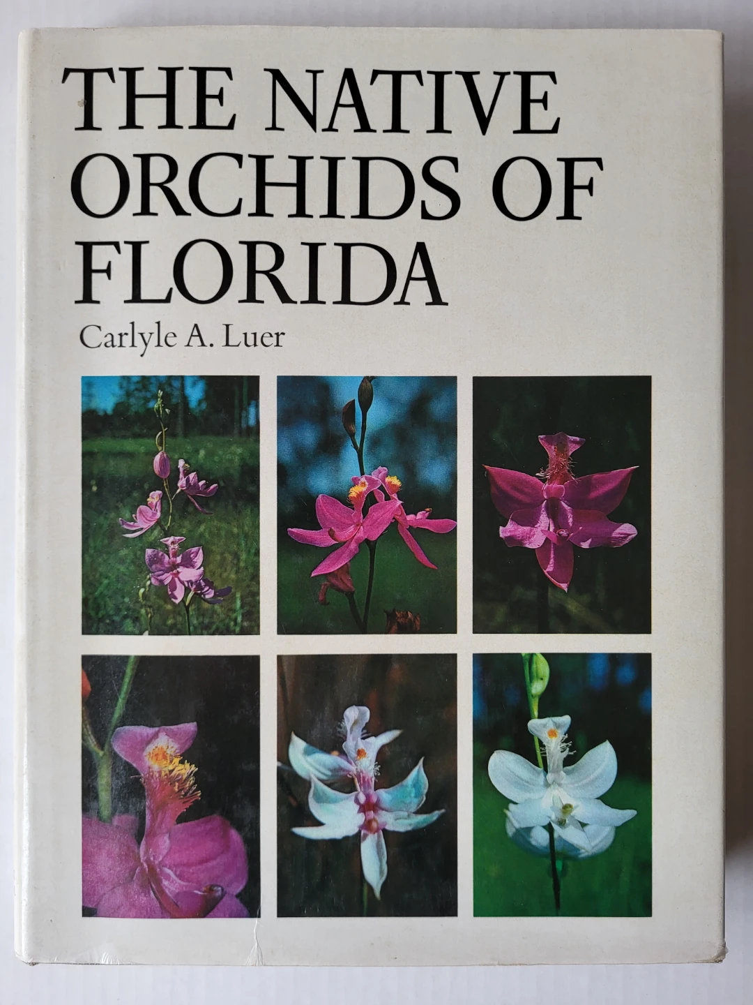 Rare! The Native Orchids of Florida - Carlyle A. Luer