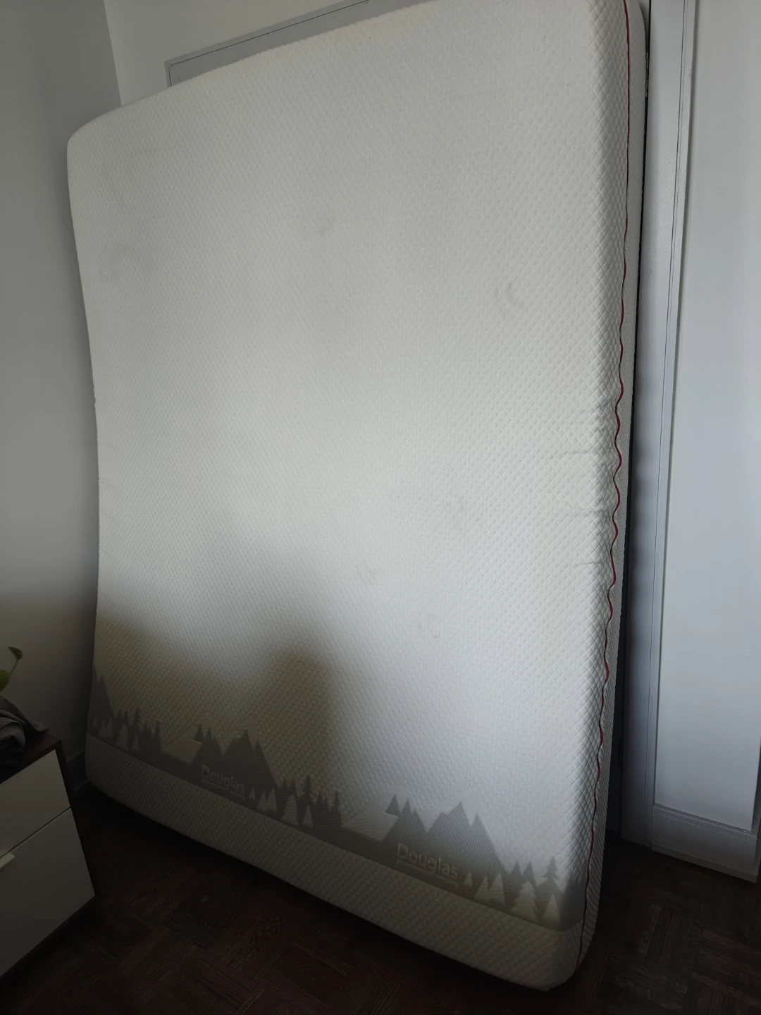 Douglas Original Queen Mattress - photo 2