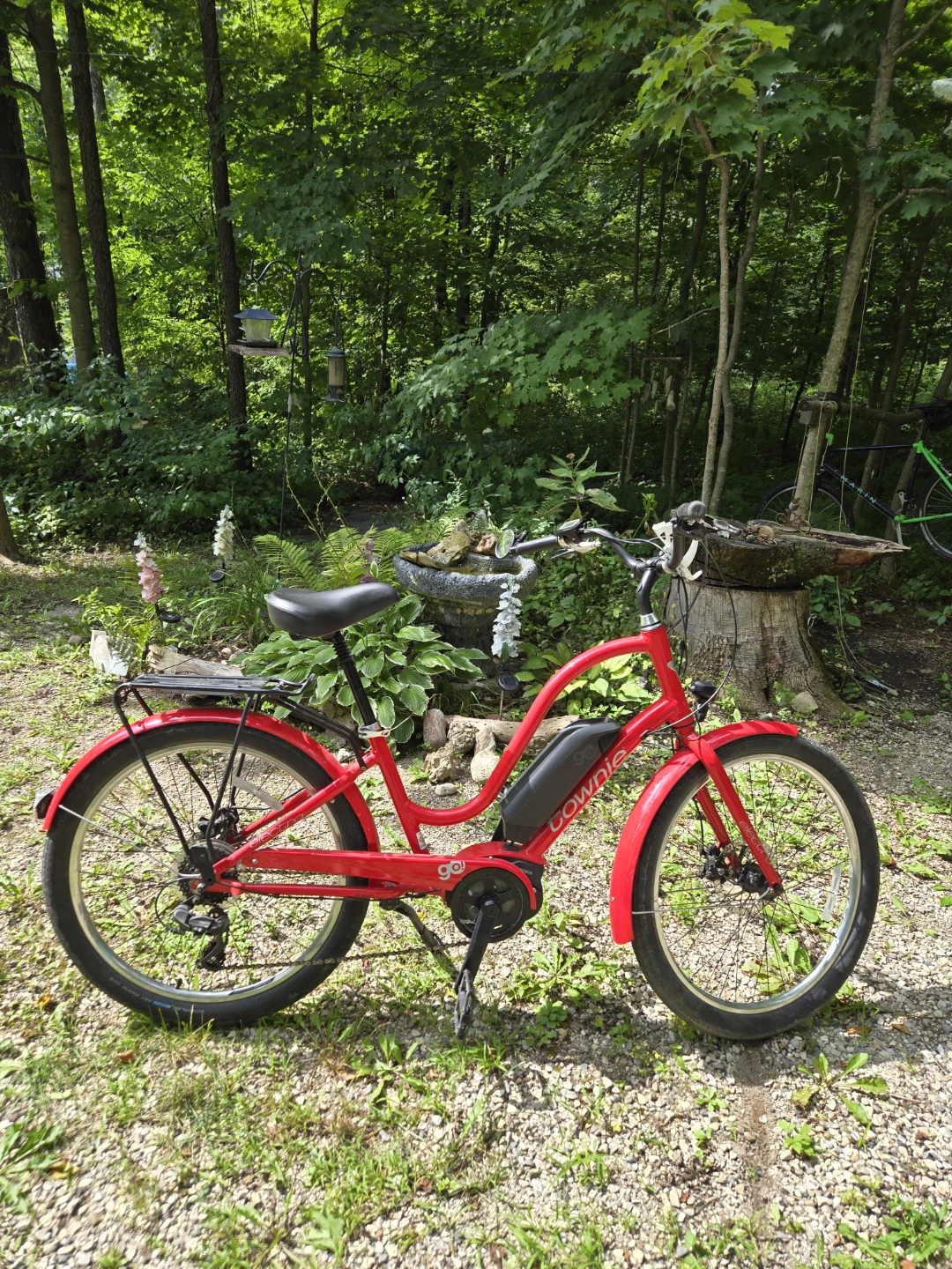Electra Townie Go! E-bike