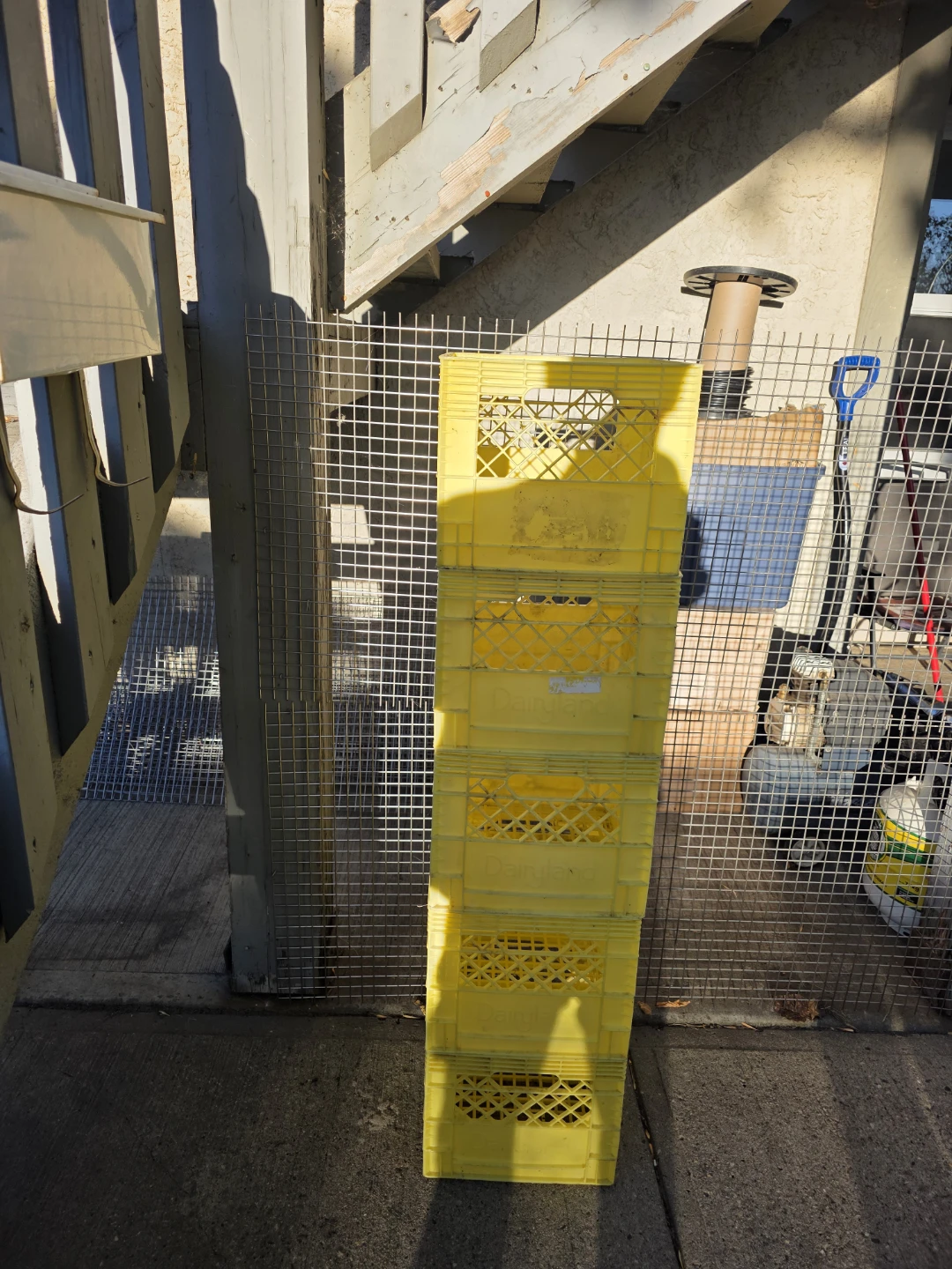 Set of 5 Yellow Dairyland Milk Crates