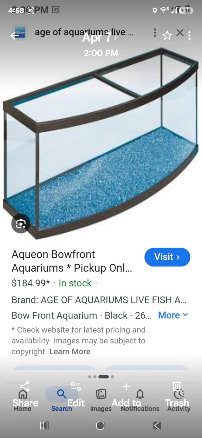 🏈Bowfront aquarium Tank Display - photo 5