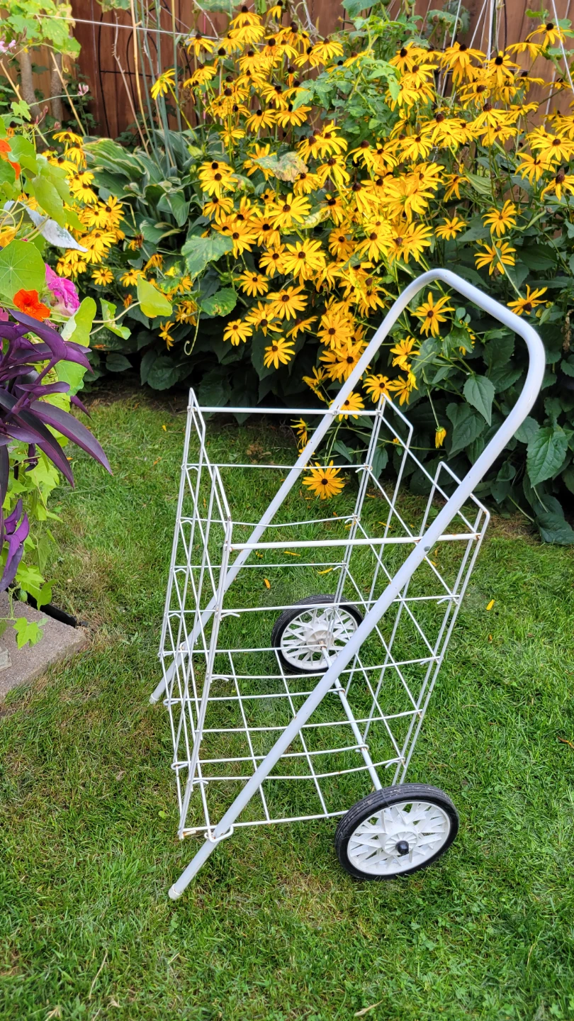 White Folding Shopping Cart-$10 - photo 2