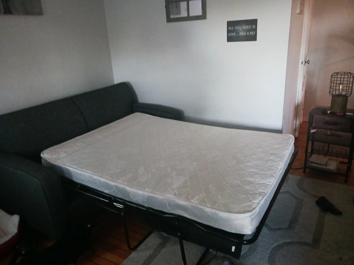 Like new Nita  sofa sleeper couch, from Bennett's! - photo 3