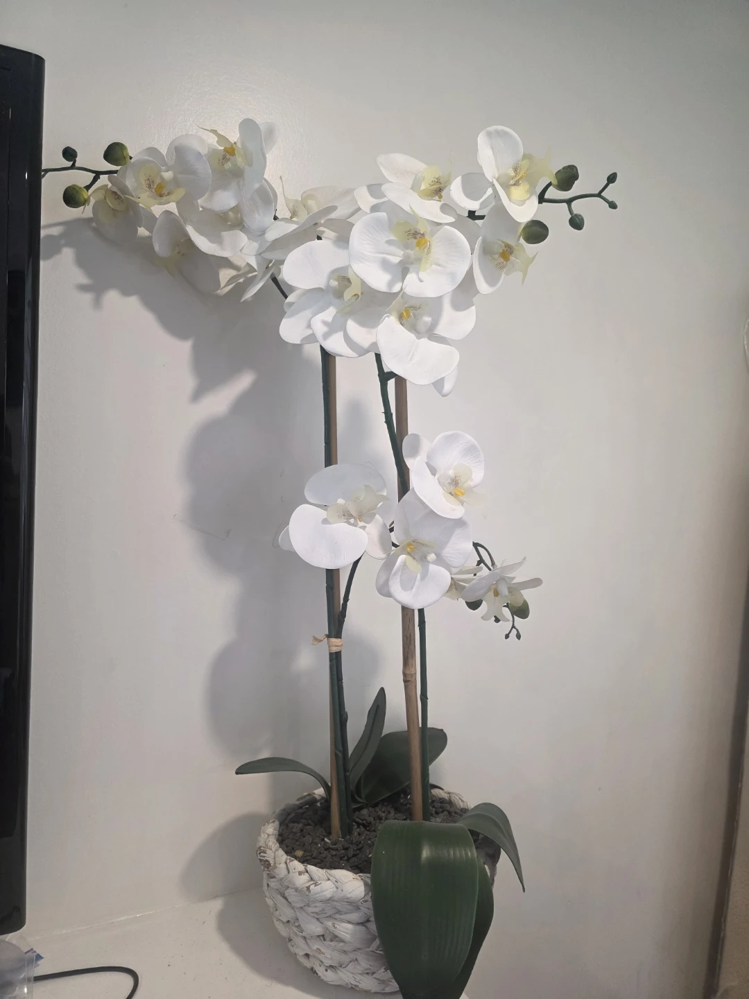 White Orchid Artificial Plant