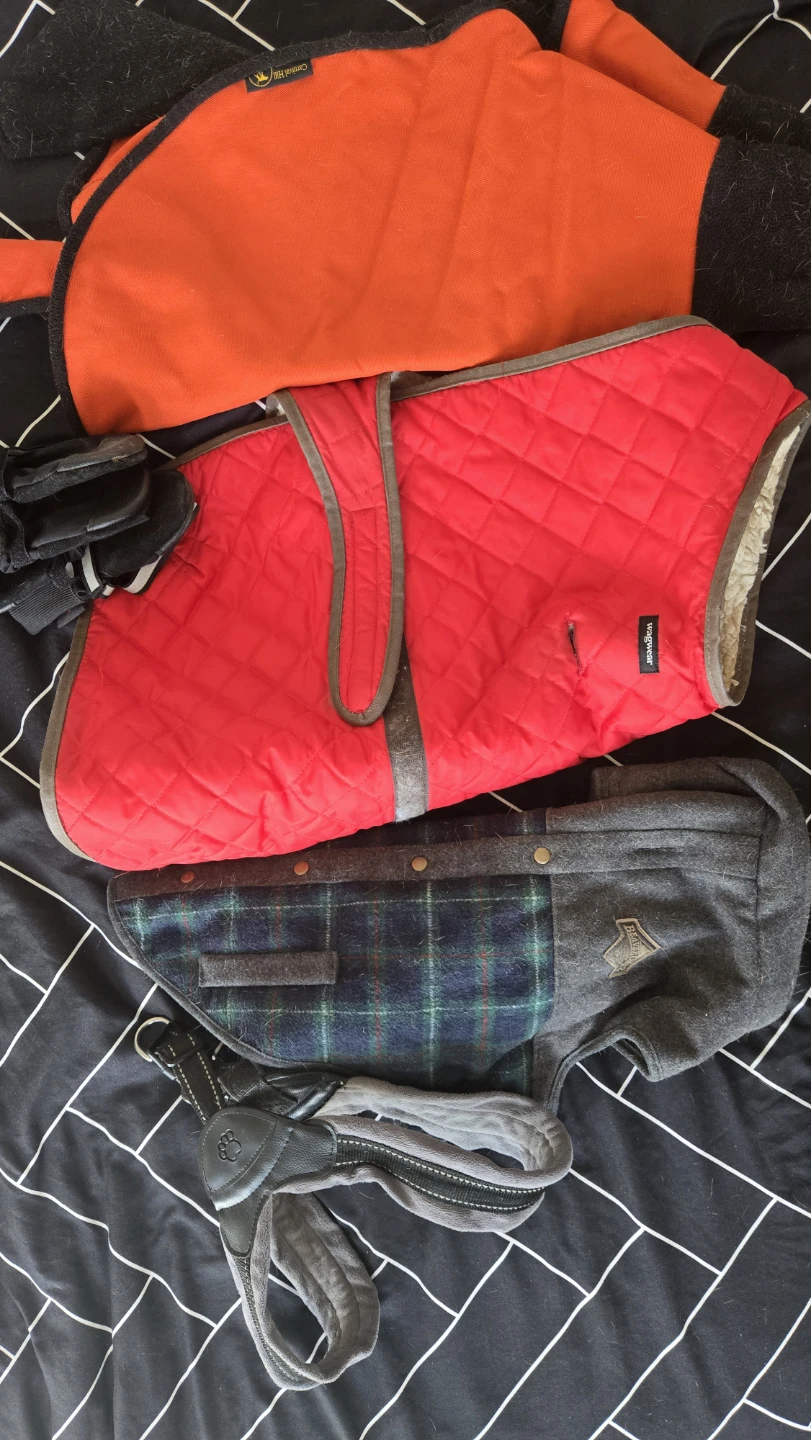 Wagwear and Carnival Hill Dog Coats - photo 4