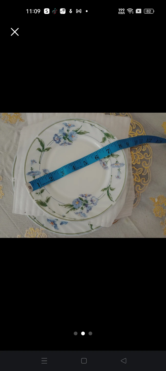 Set of Floral Pattern Plates🏈