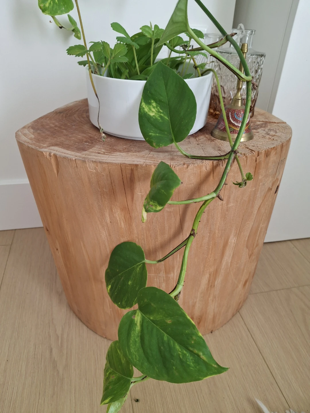 Natural Wood Log Side Table