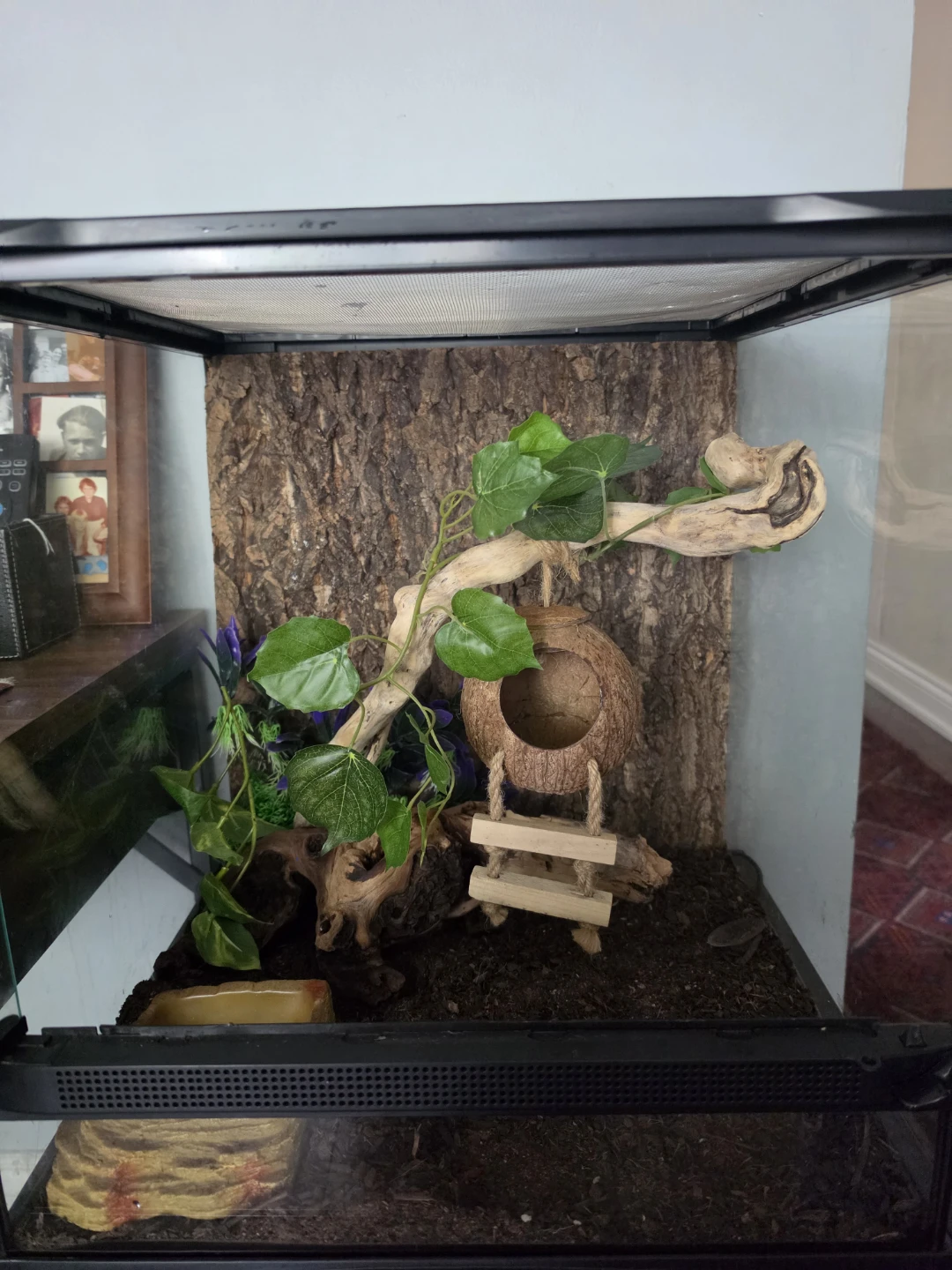 25 Gallon 18” x 18” x 18” Terrarium + Stand & Accessories - photo 2