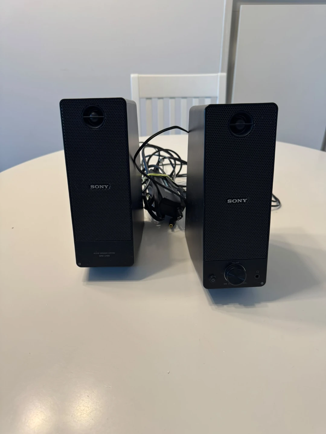 Sony Audio Speaker System SRS-Z100