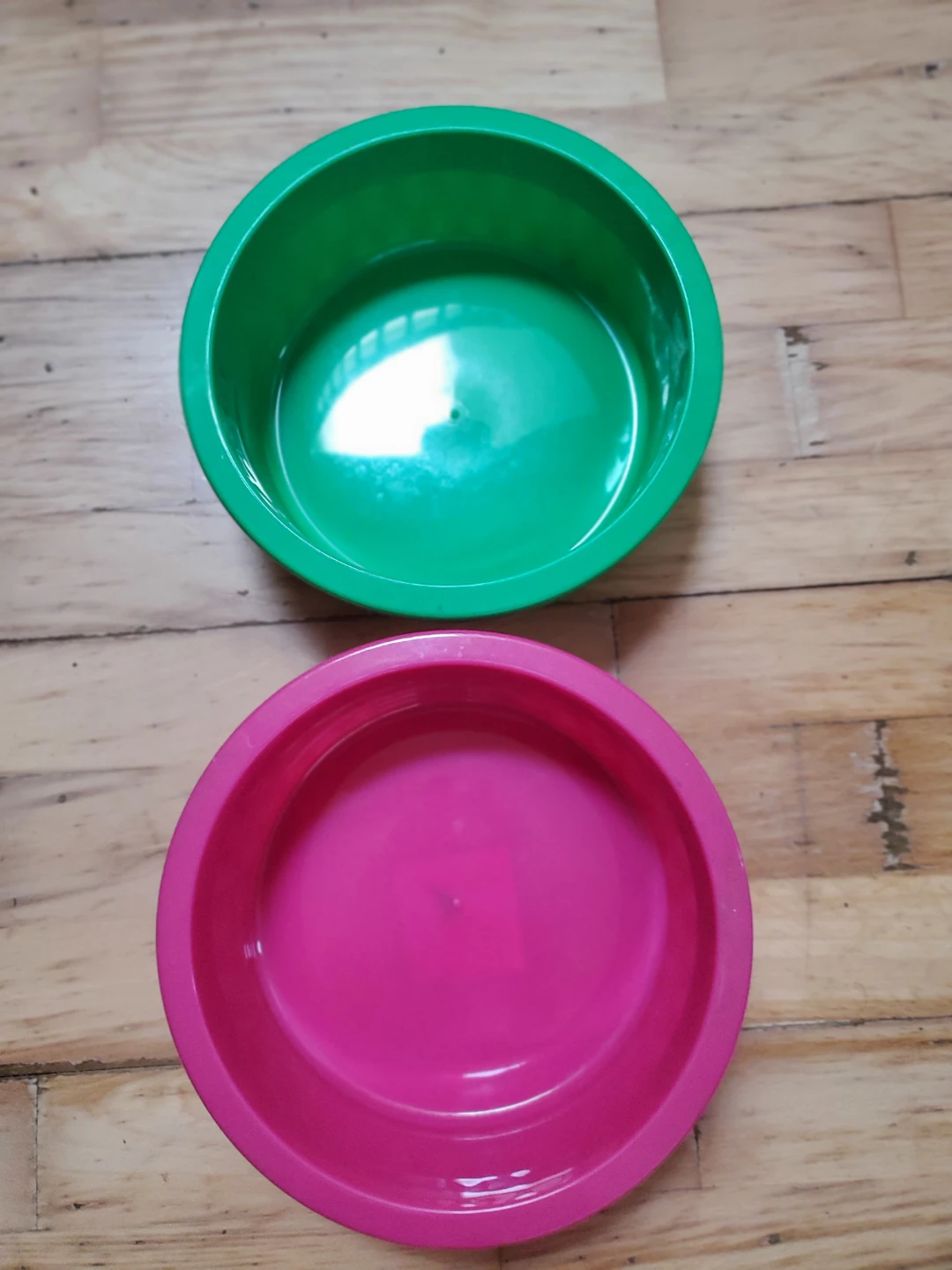 Pet Bowls