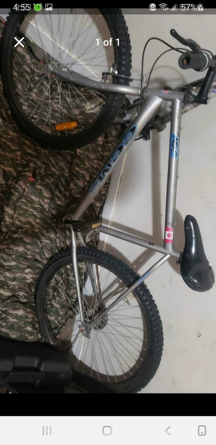 CCM Ice Mountain Bike