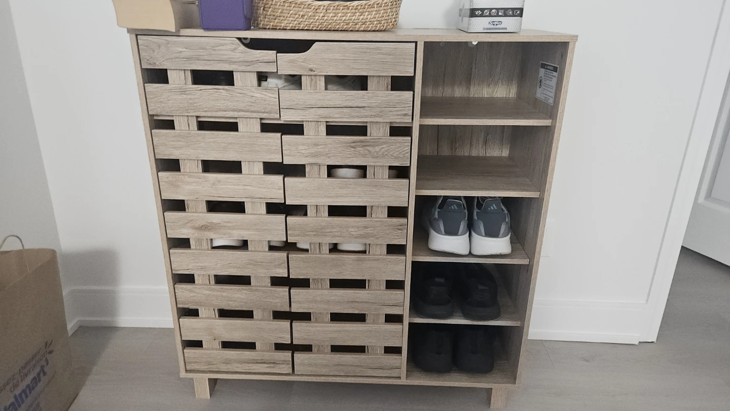 Modern Shoe Cabinet