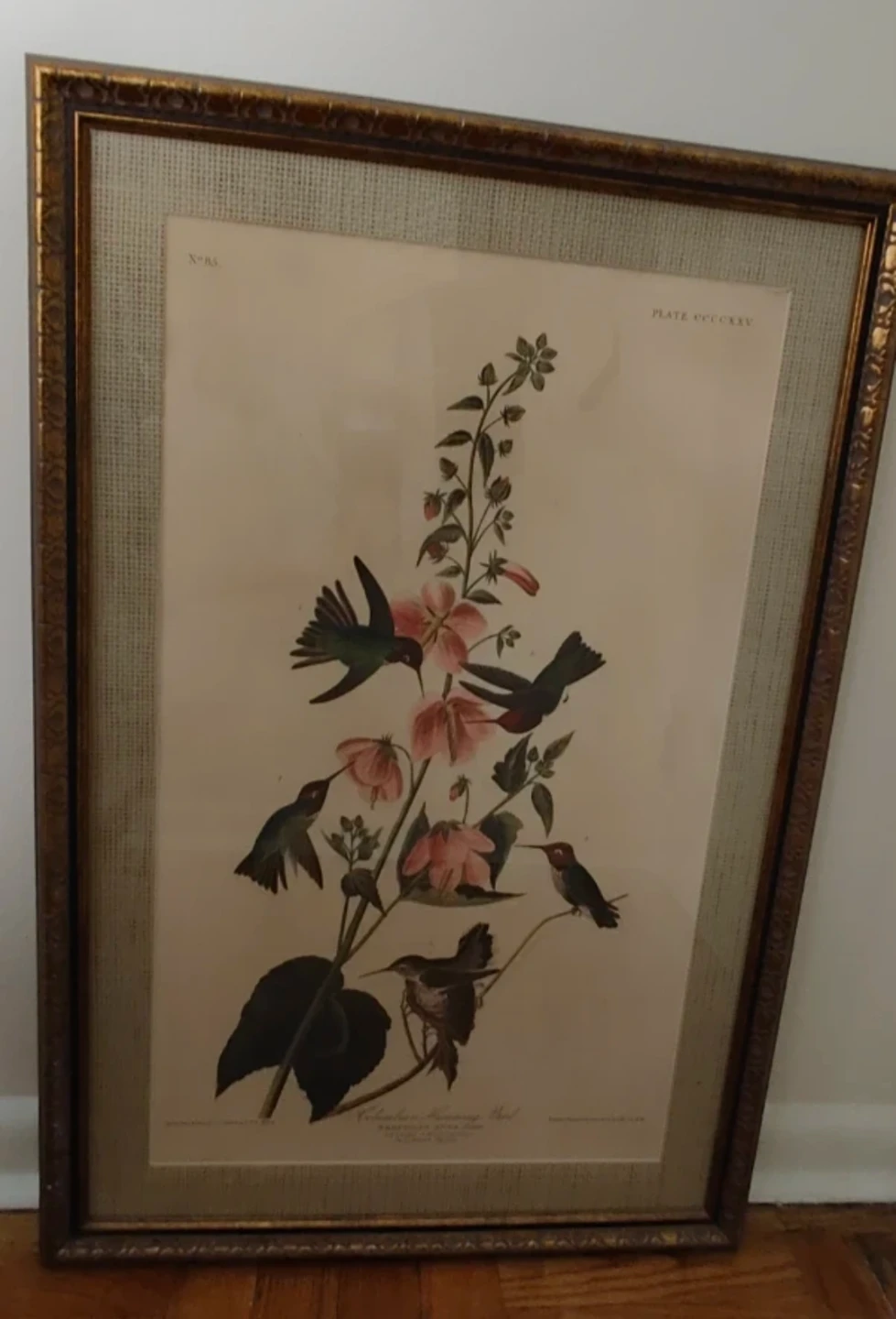 Vintage Style Print in Frame