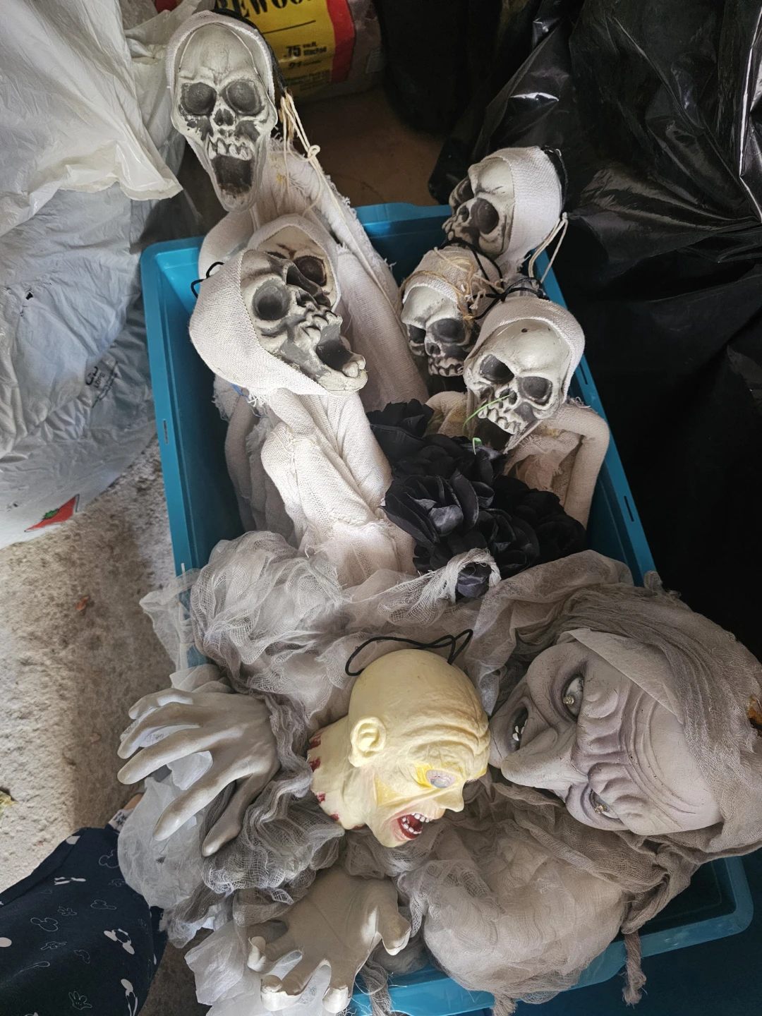 6 Halloween Skeleton and Mummy Decorations