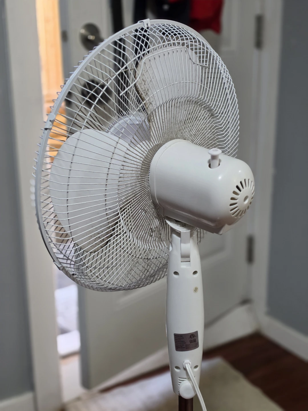 Fan - photo 2