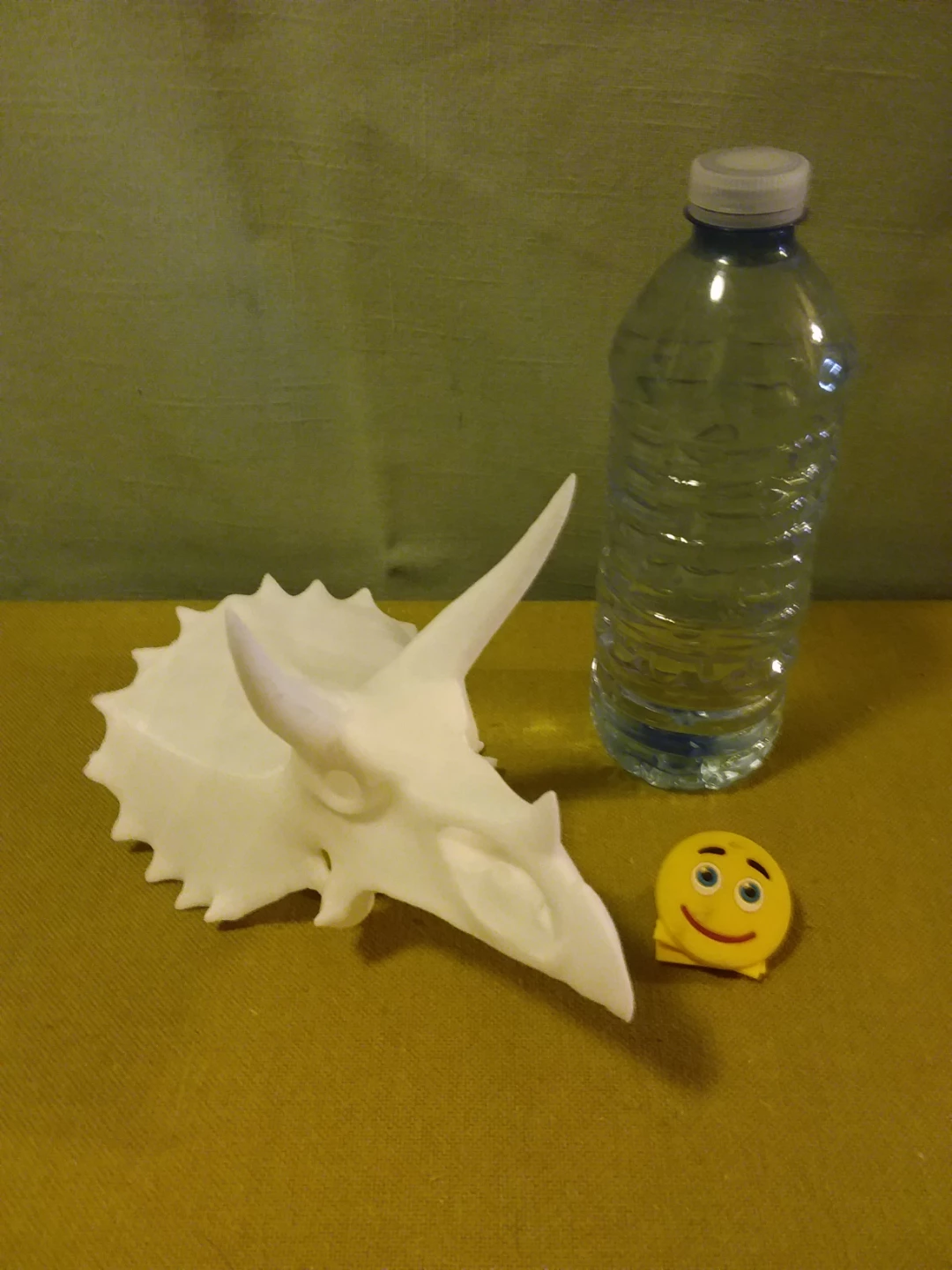 🏈  🦕 ➡️ 3D Printed Triceratops Skull Model  🦕