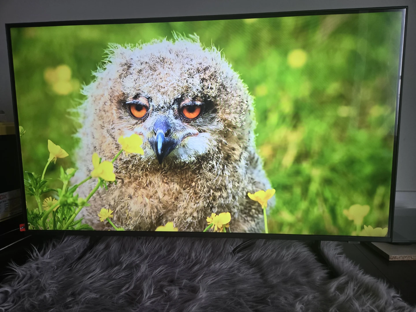 SMART TV - photo 4