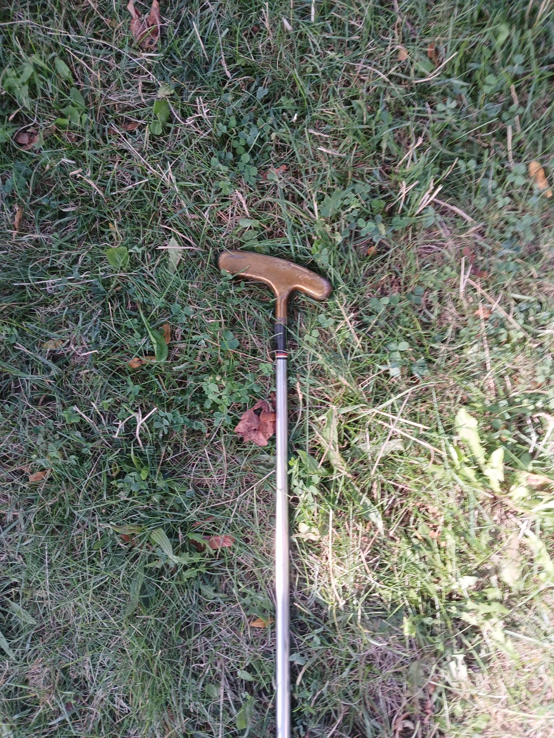 Vintage Brass Putter