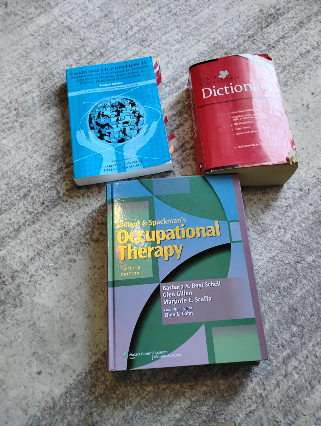 Occupational Therapy Textbook and Flashcard Collection - photo 3
