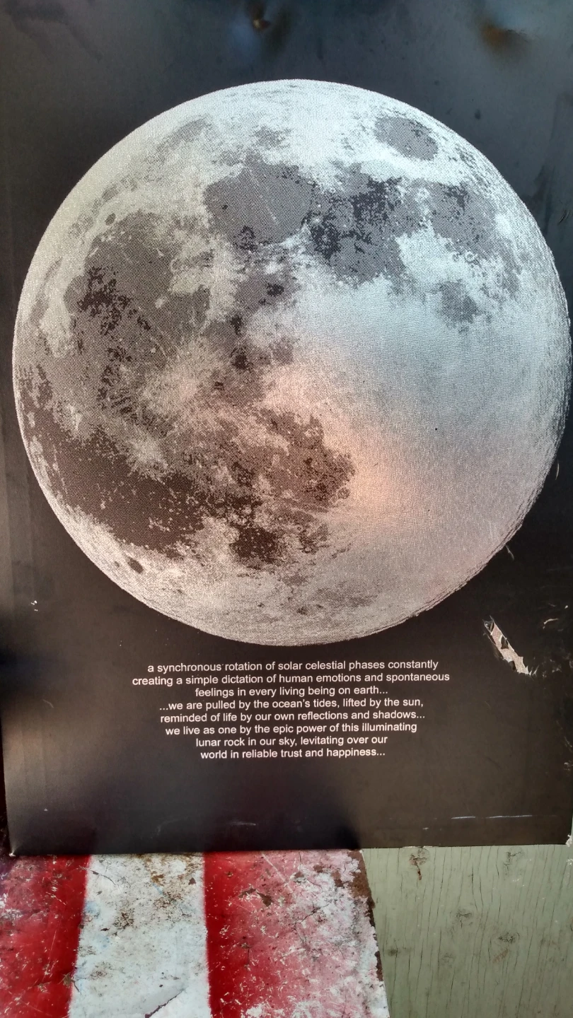 Moon Canvas Wall Art