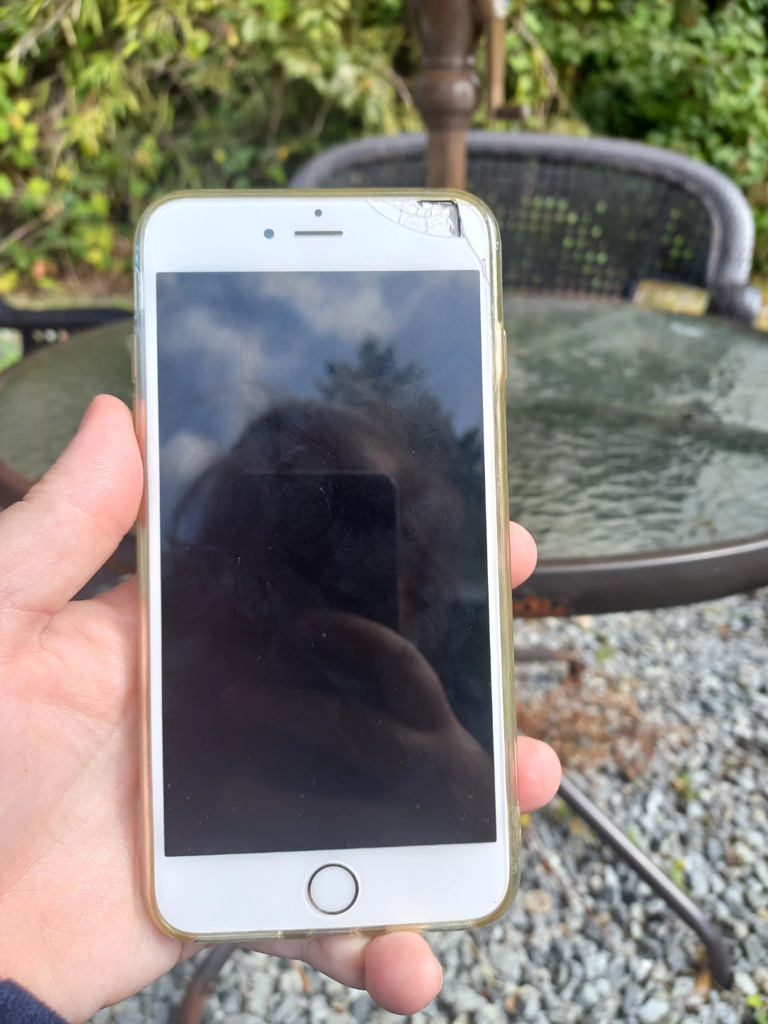 Gold iPhone 6s