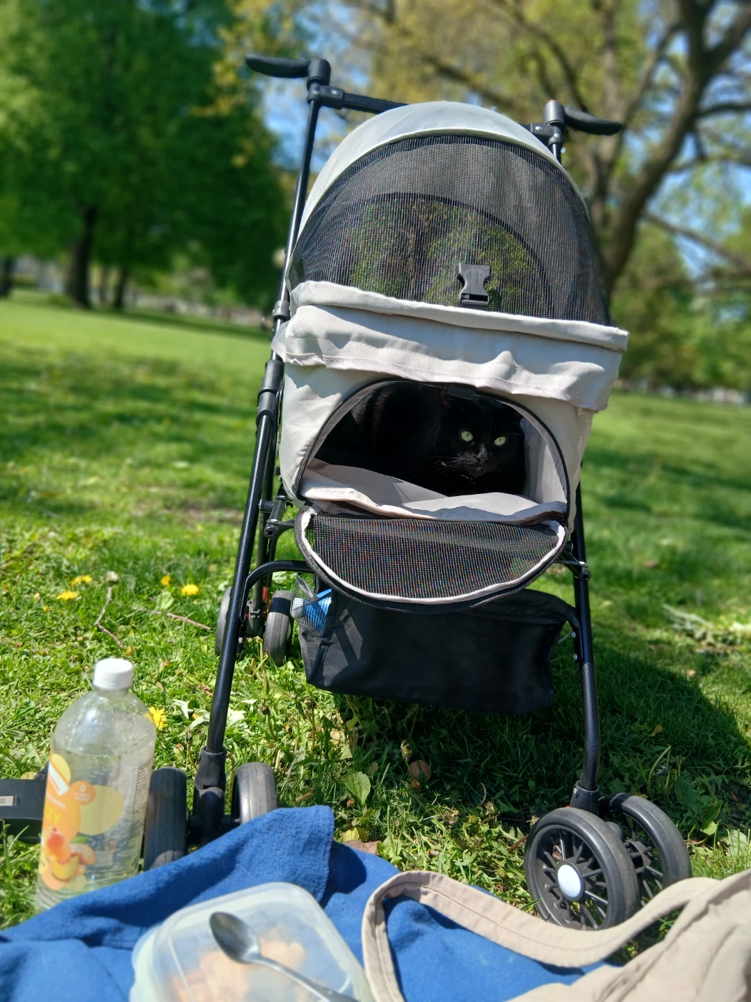 Lightweight Pet Stroller