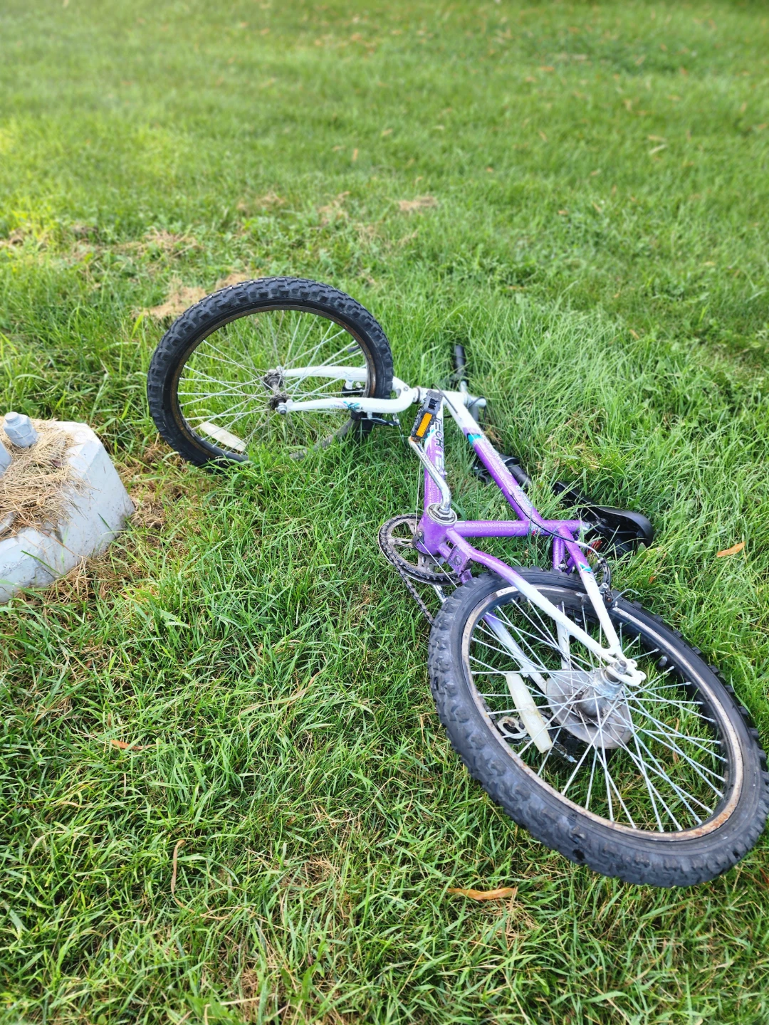 Free youth bike