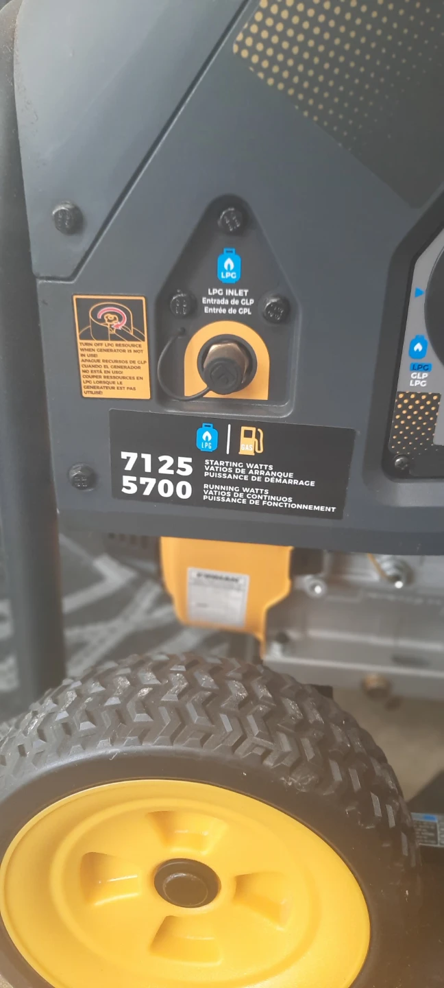 Firman Dual Fuel Generator 7125/5700W - photo 2