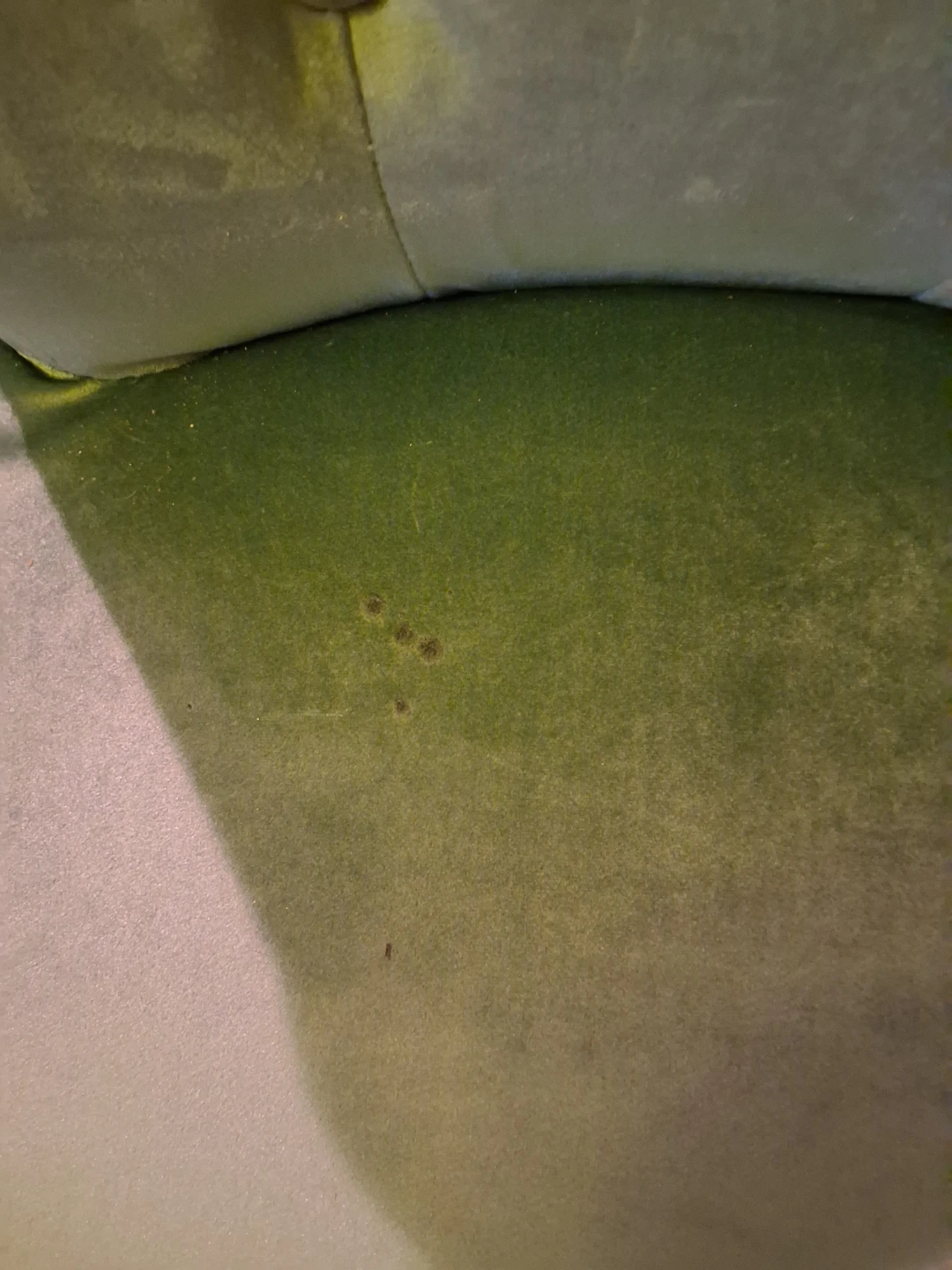 Green Velvet Dining Chair with Ring Pull - photo 5
