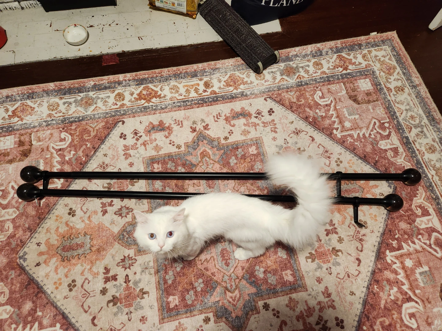 Curtain rods extendable