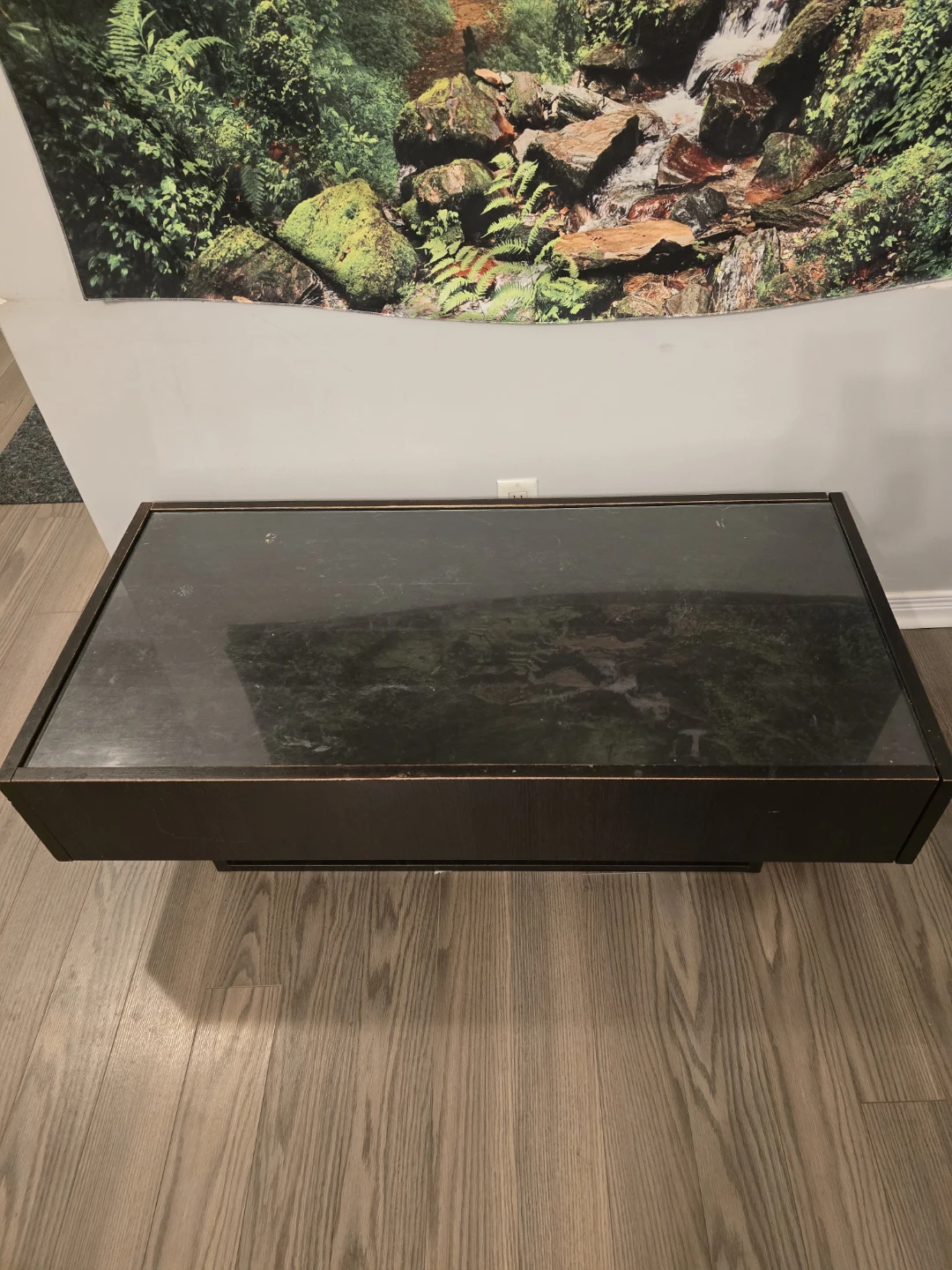 Dark Wood Coffee Table with Glass Top