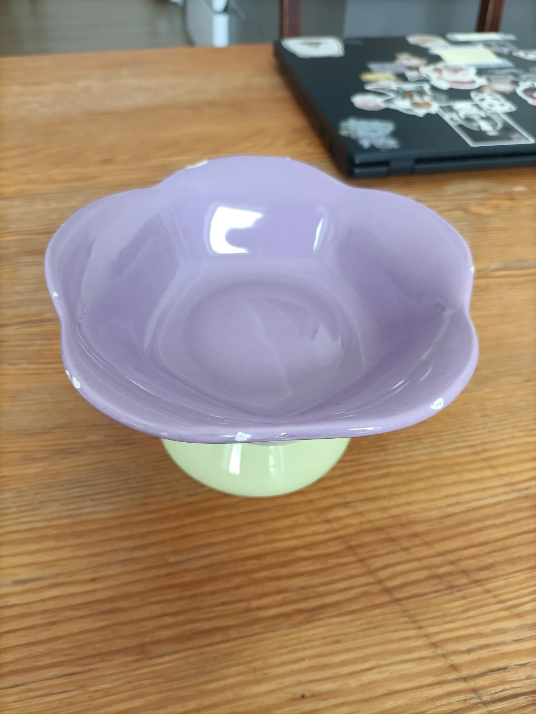 🏈Ceramic Flower-Shaped Cat Serving Dish