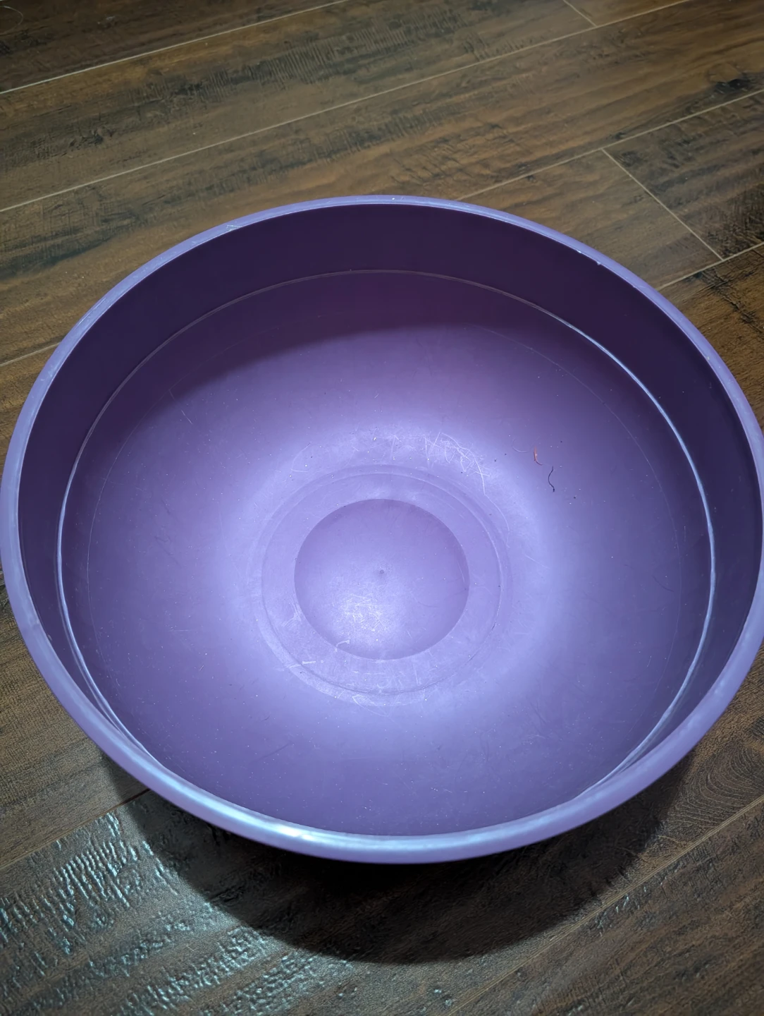 Purple Halloween pumpkin bowl. - photo 2