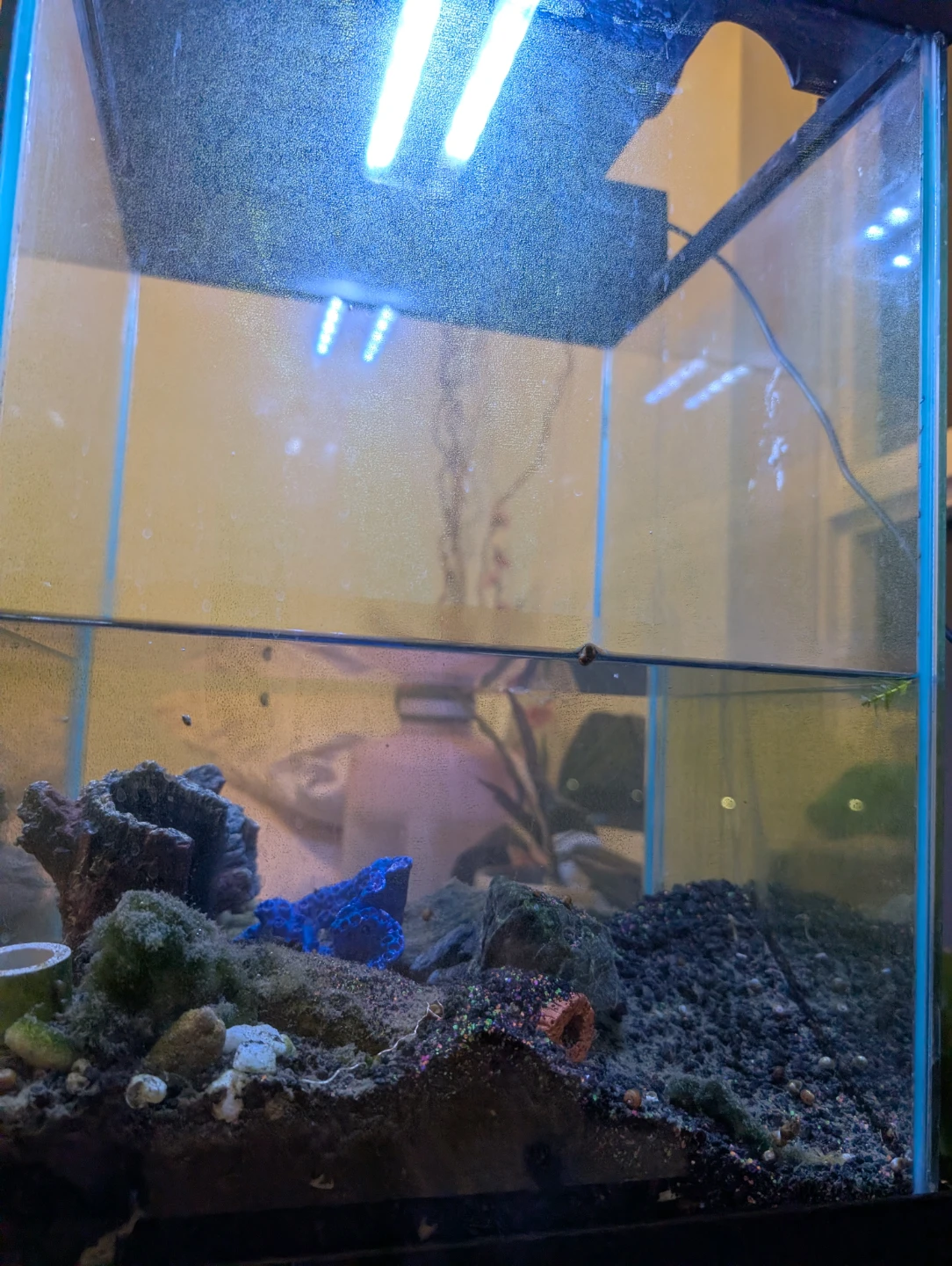 Top Fin 10 Aquarium 10 Gallons - photo 5