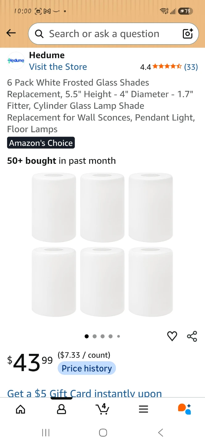 6-Pack Frosted Glass Lamp Shades