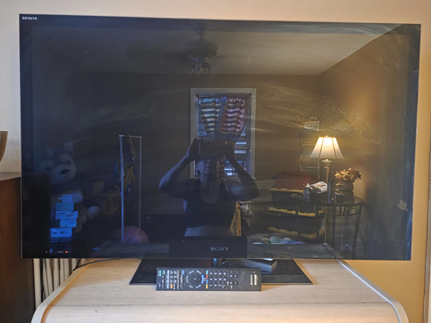Sony Bravia Television - photo 2