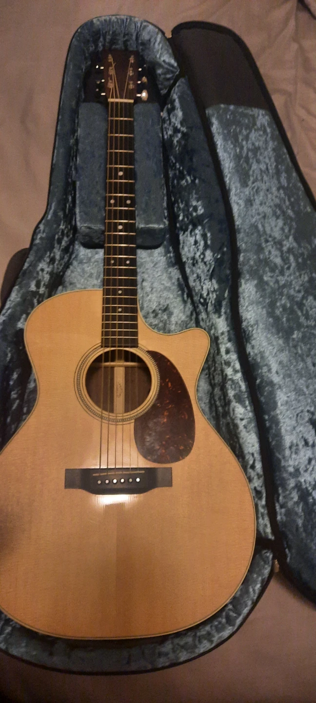 Martin & Co Acoustic Guitar