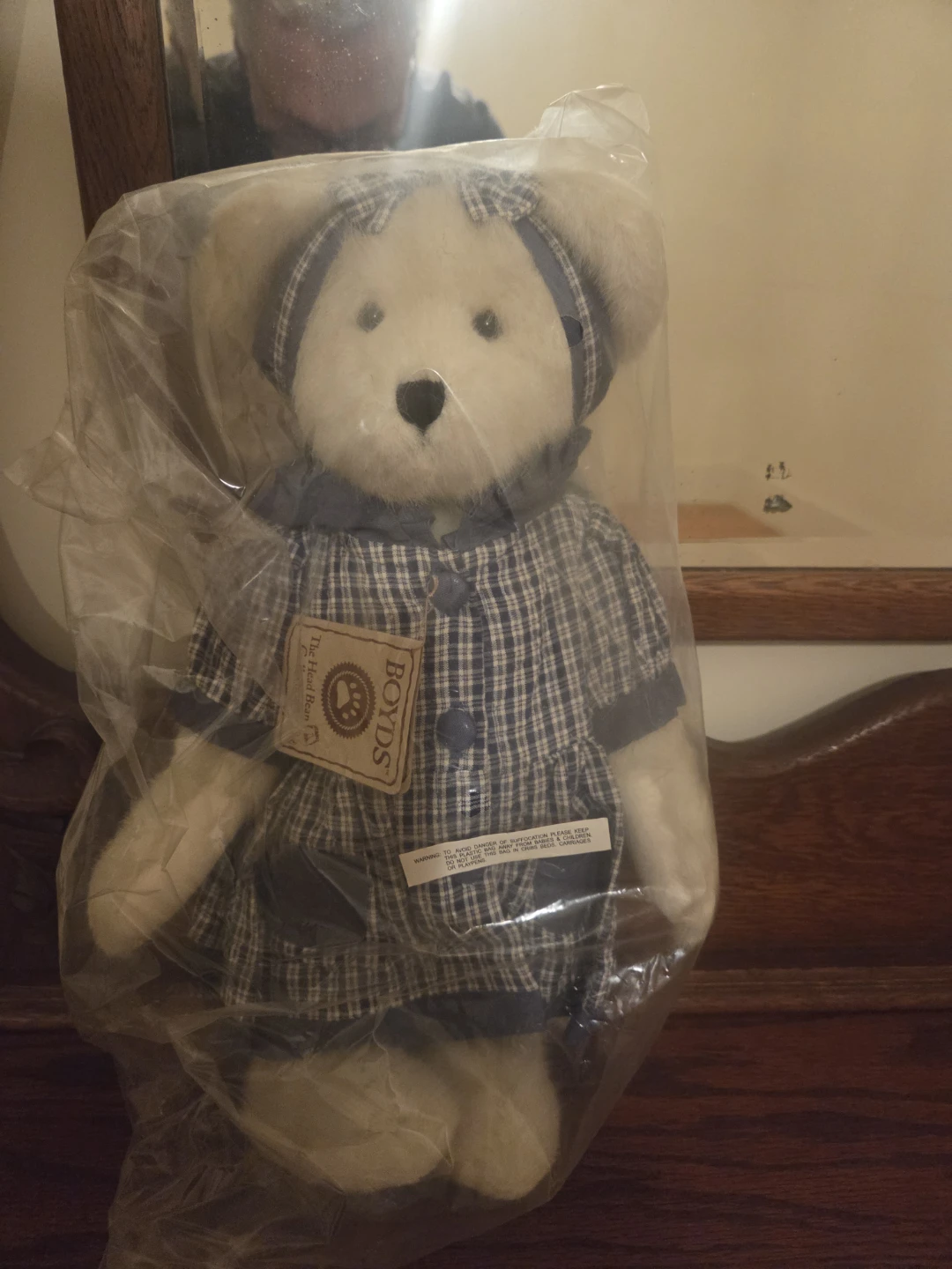 Boyds Bear Leanne Bearsdale Gold Edition🏈