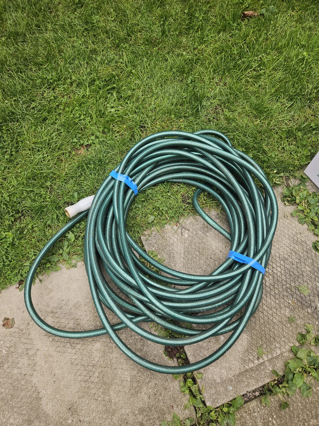 Green Garden Hose