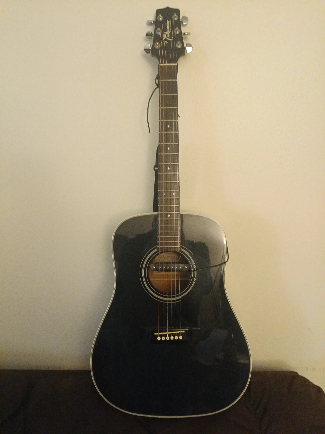 Takamine Acoustic Guitar